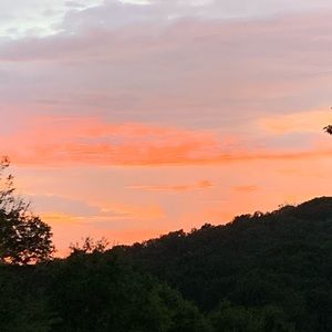 Meet your Posher, Dennis